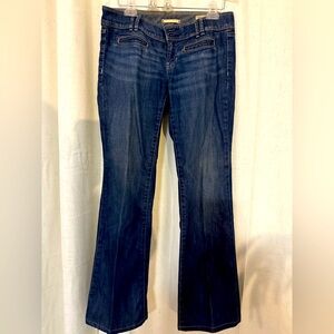 Gap Limited Edition Jeans